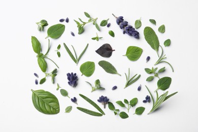 Many different aromatic herbs on white background, flat lay