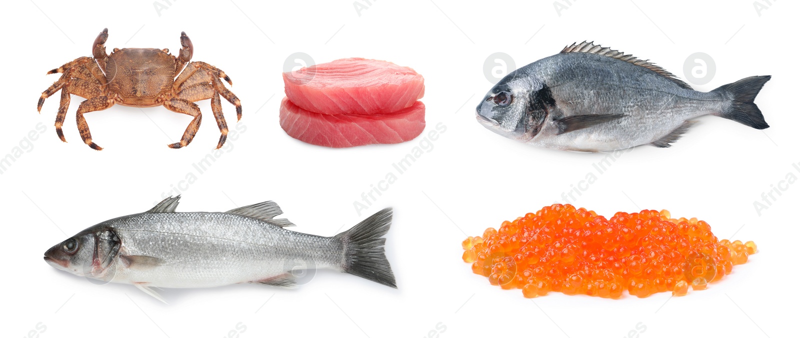 Image of Dorado fish, crab, sea bass, pieces of raw tuna and red caviar isolated on white, set