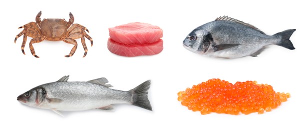 Dorado fish, crab, sea bass, pieces of raw tuna and red caviar isolated on white, set