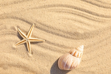 Seashell and starfish on beach sand with wave pattern, flat lay. Space for text