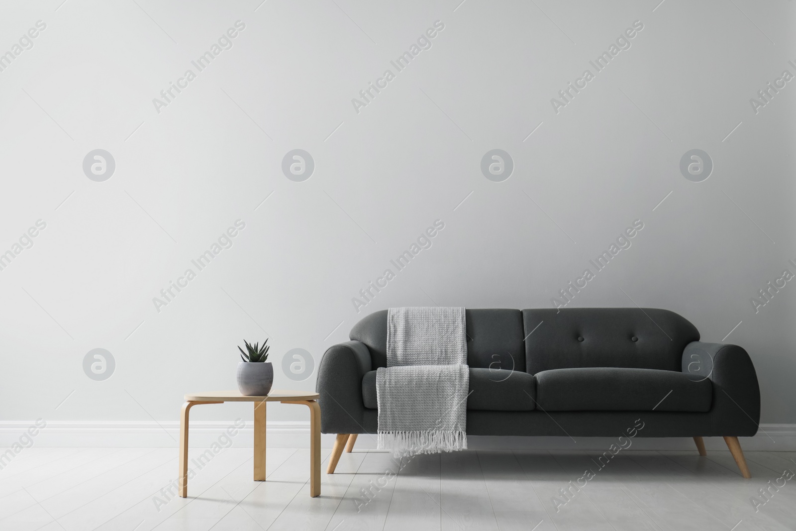 Photo of Stylish living room interior with comfortable grey sofa and beautiful plant