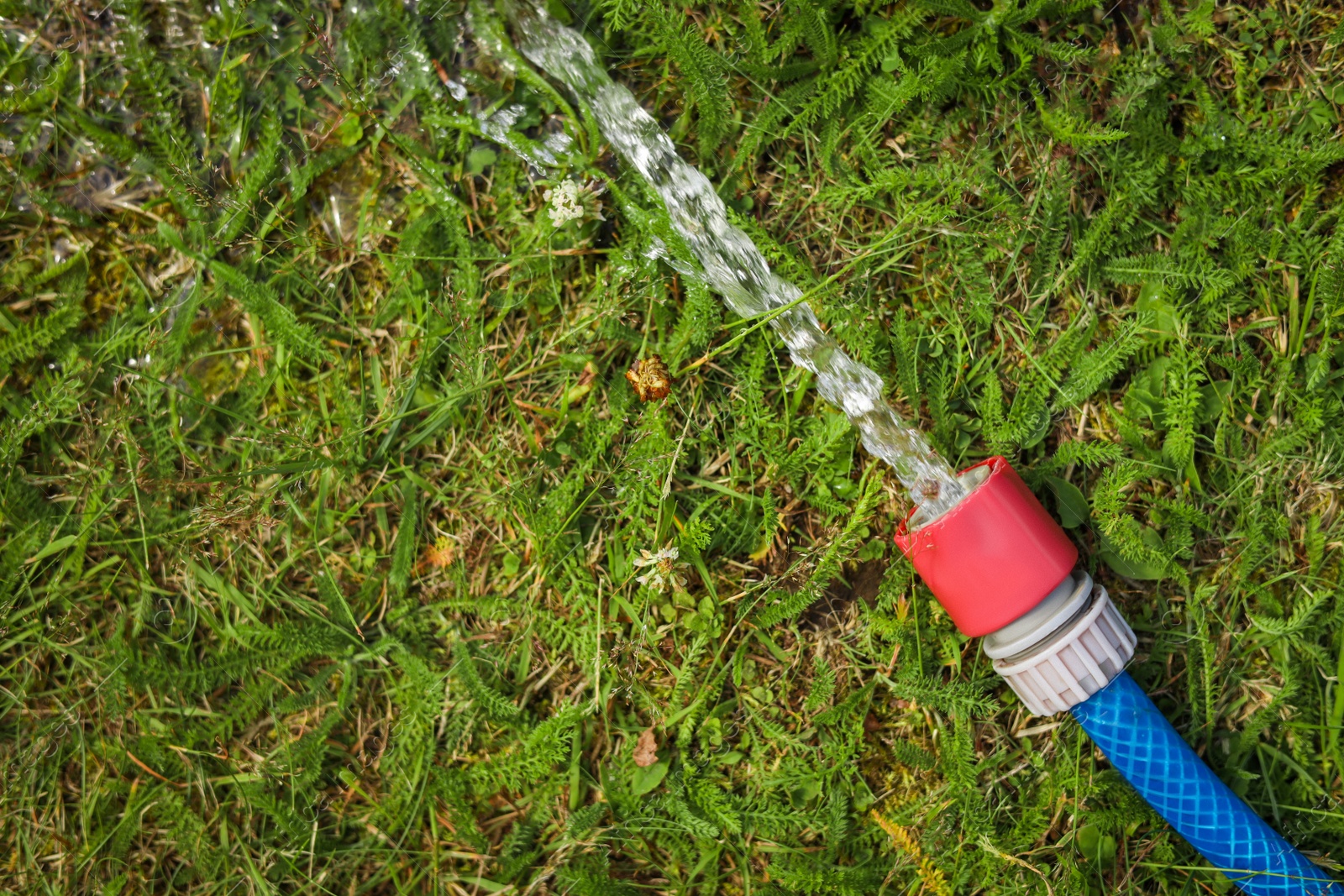 Photo of Water flowing from hose on green grass outdoors, top view. Space for text
