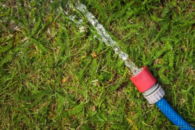 Water flowing from hose on green grass outdoors, top view. Space for text