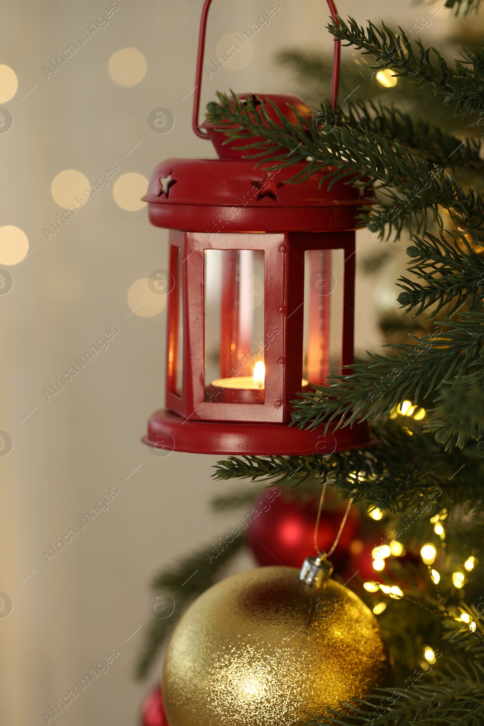 Photo of Christmas lantern with burning candle on fir tree against blurred background, closeup