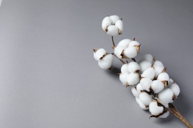 Photo of Branch with cotton flowers on light grey background, above view. Space for text