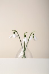 Beautiful snowdrops and paper card on beige background. Space for text