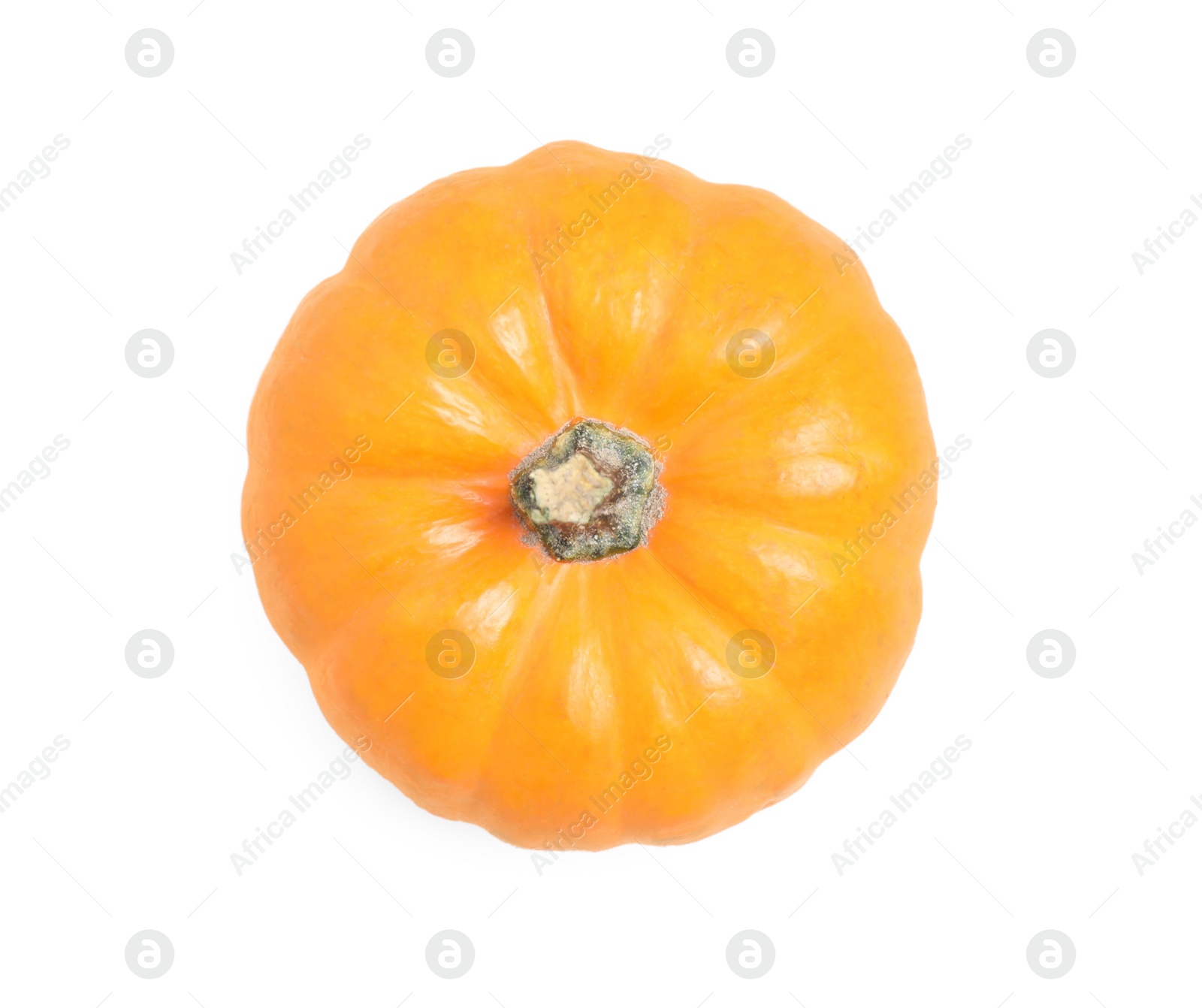 Photo of Beautiful ripe orange pumpkin isolated on white, top view