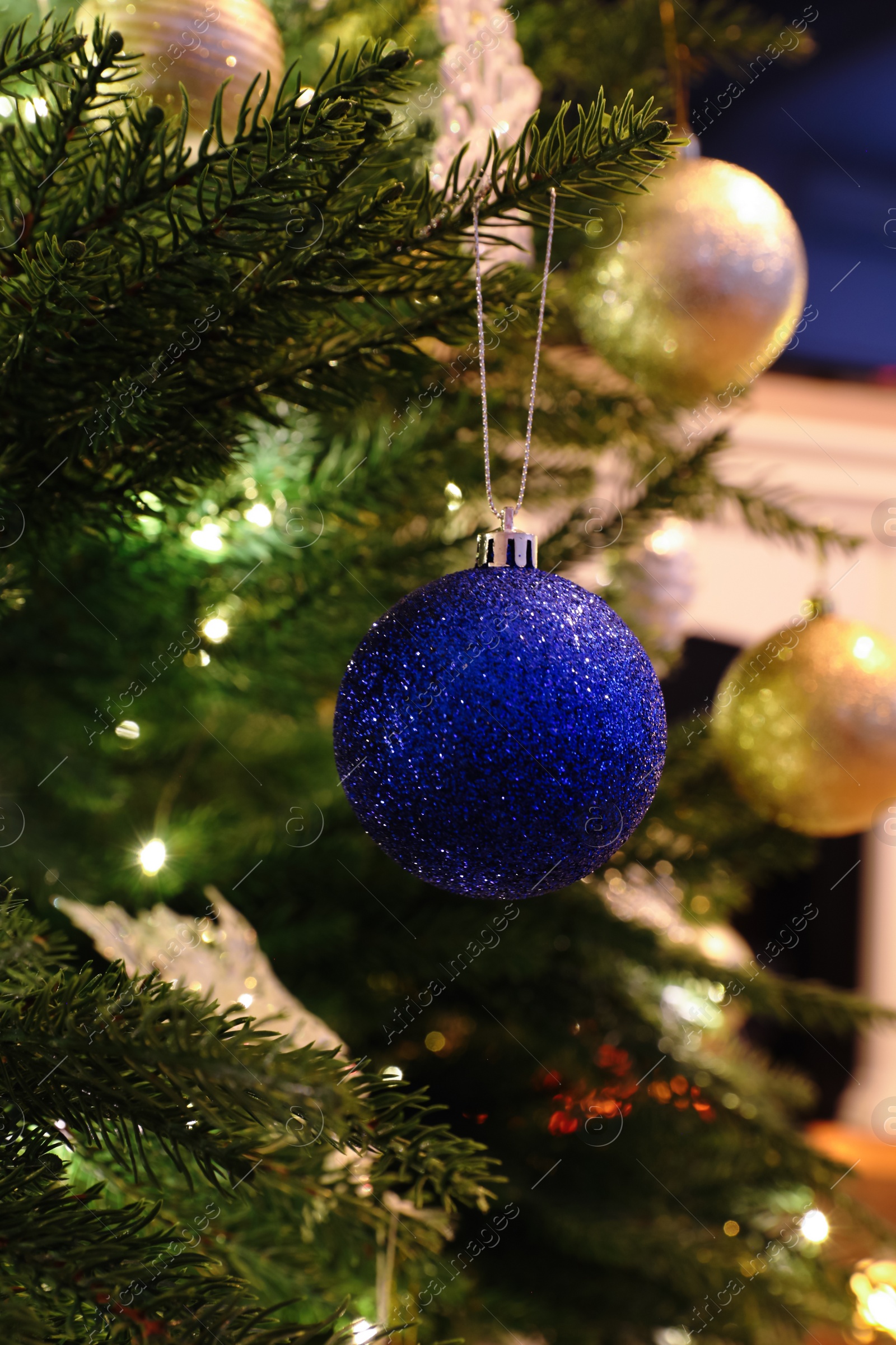 Photo of Beautiful Christmas ball hanging on fir tree branch in room, closeup