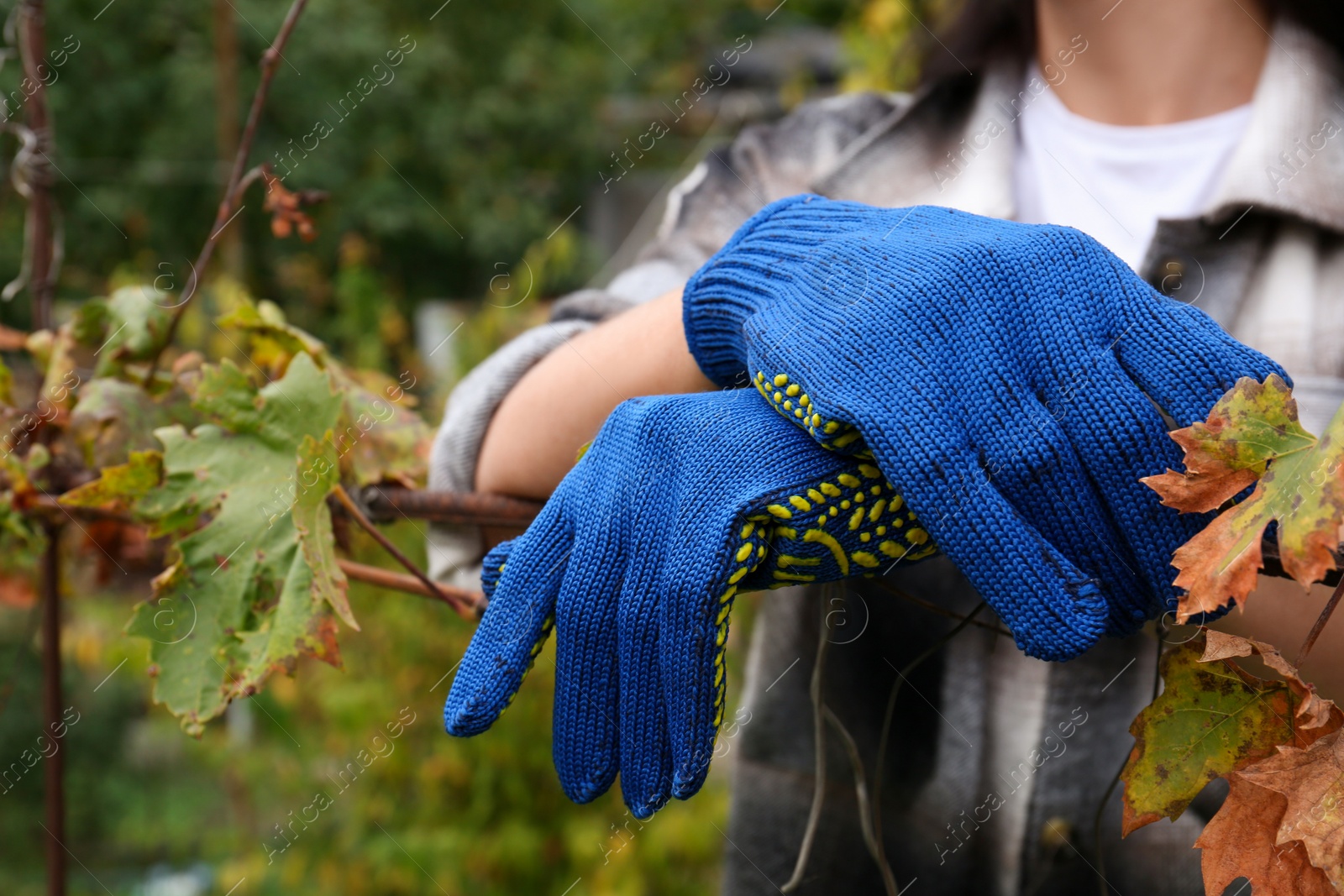 Photo of Woman wearing gloves having rest in garden, closeup