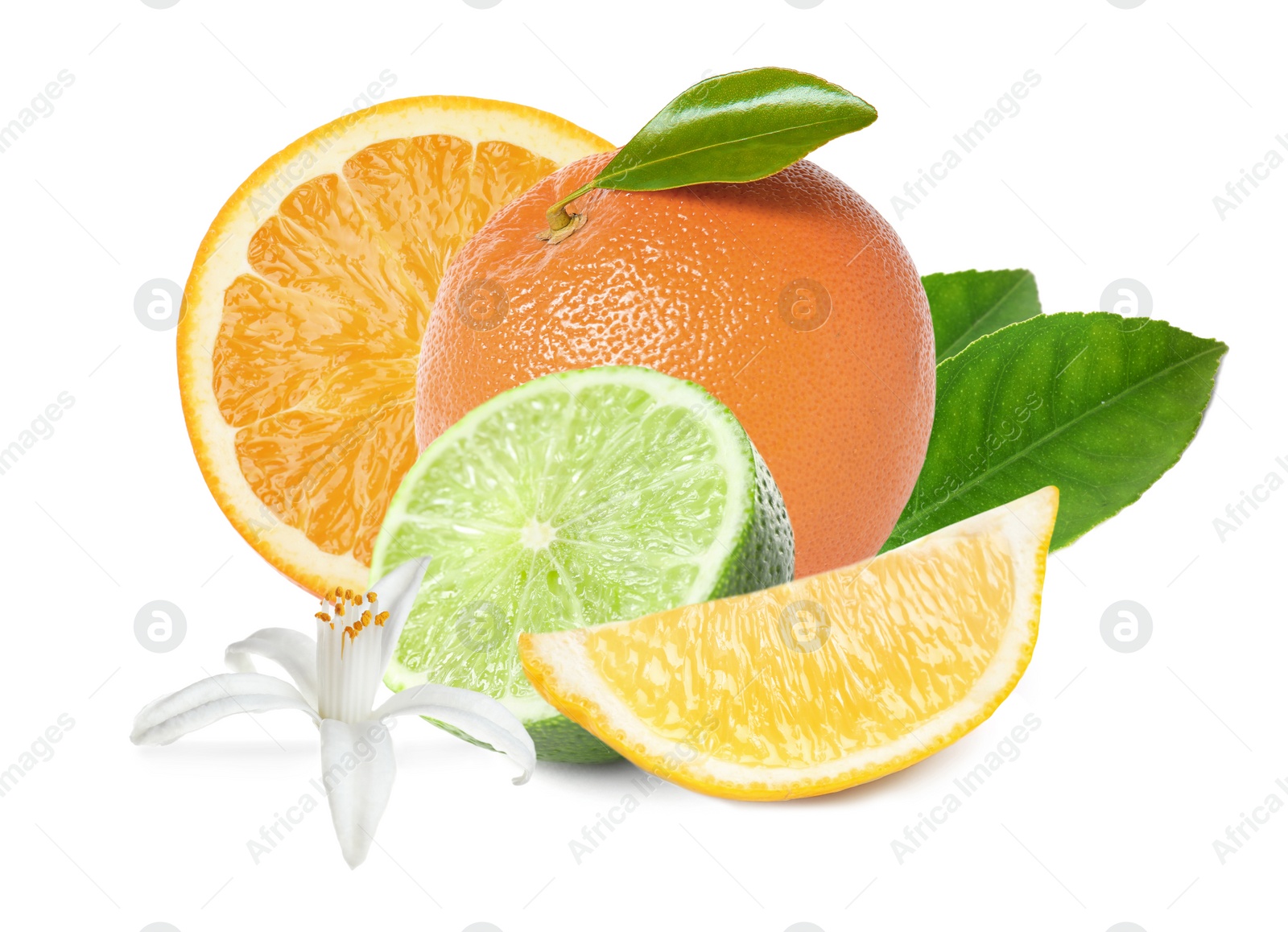 Image of Different citrus fruits with leaves on white background 