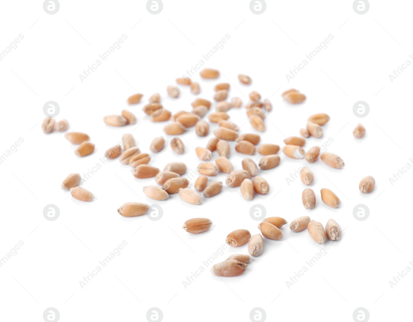 Photo of Wheat grains on white background. Cereal crops
