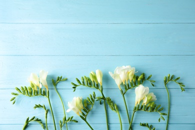 Beautiful fresh freesia flowers on color background, flat lay. Space for text