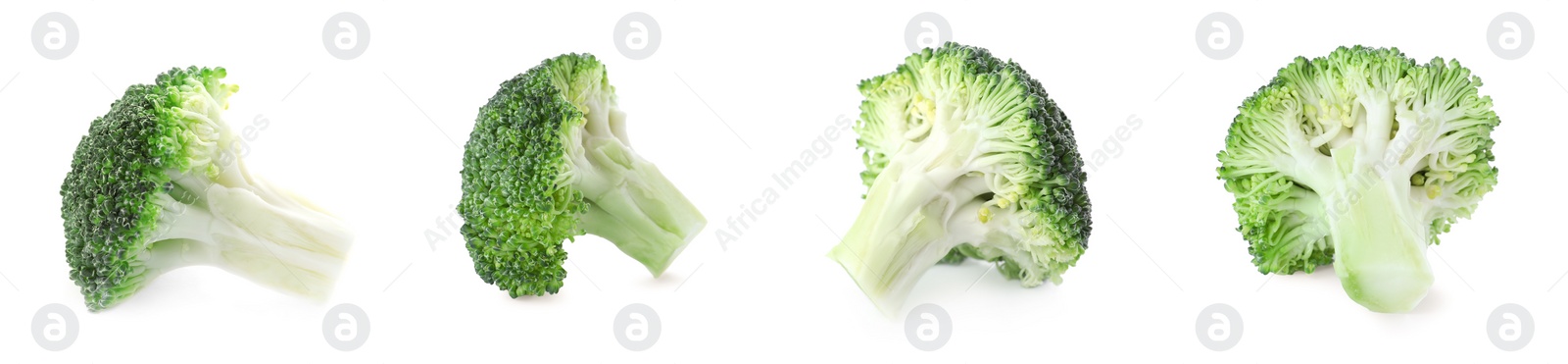 Image of Set of fresh green broccoli on white background, banner design 