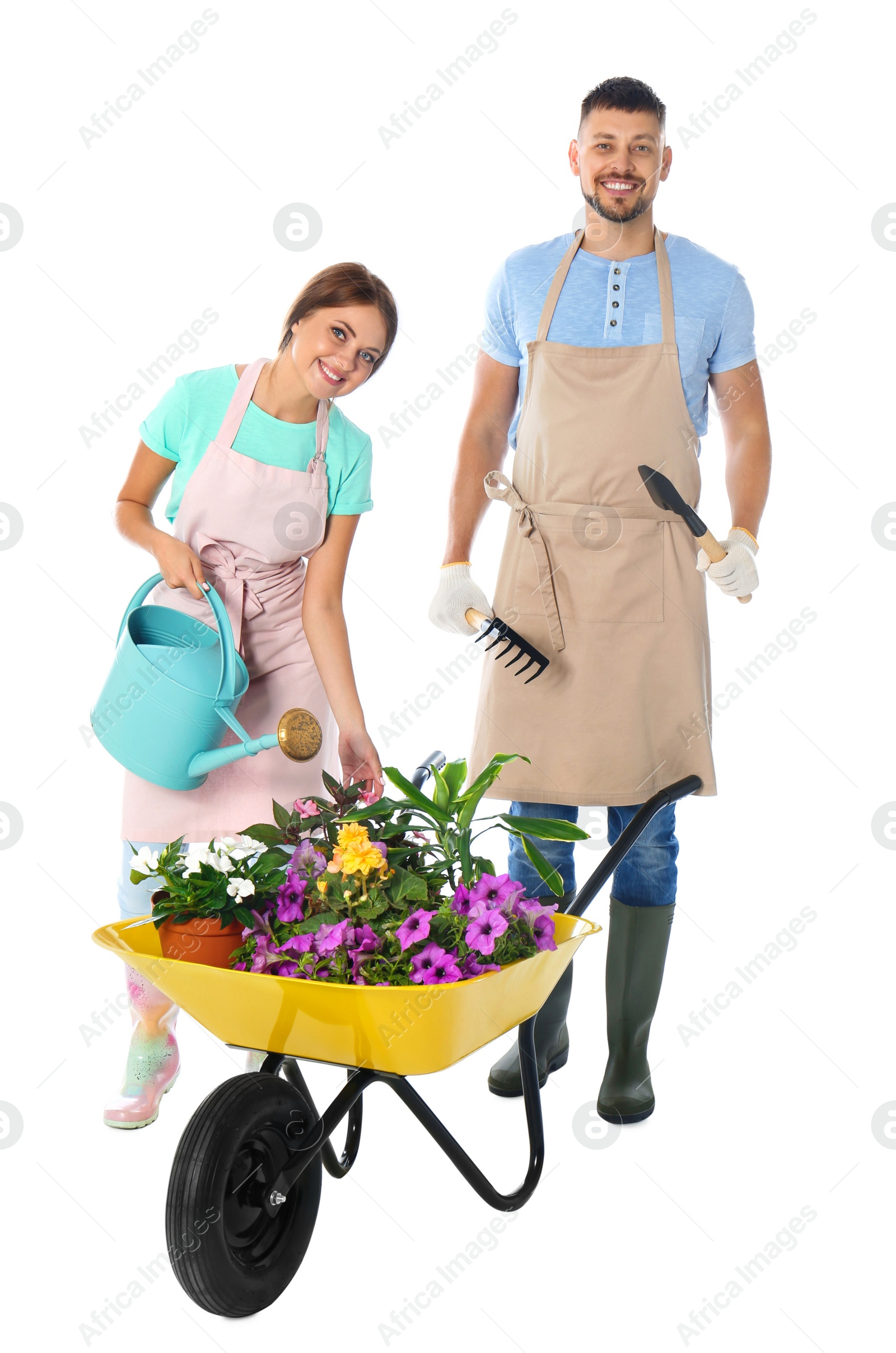 Photo of Couple of gardeners with wheelbarrow and plants on white background