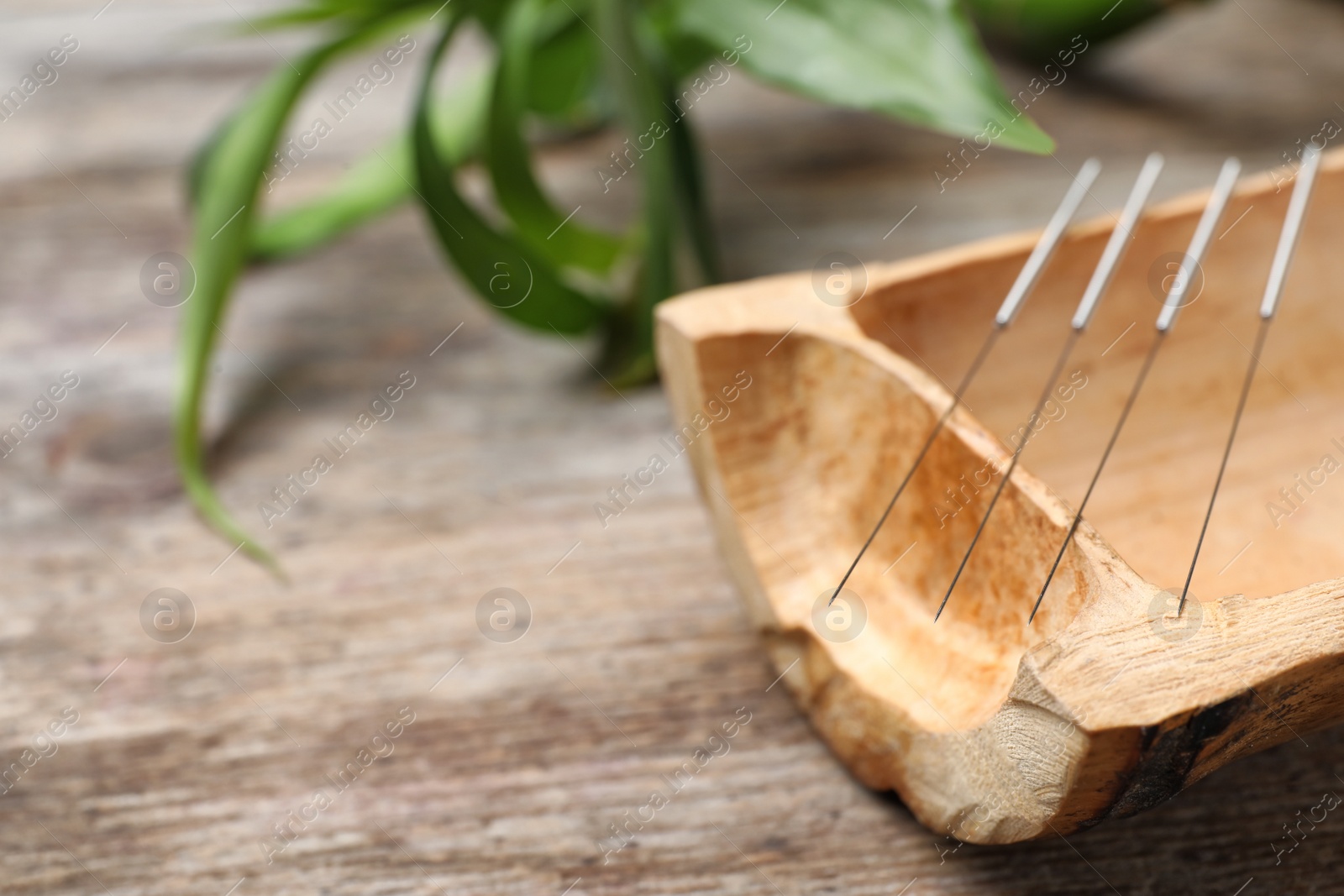 Photo of Bamboo stick with needles for acupuncture on wooden table