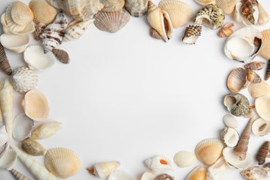 Photo of Frame made with different sea shells on white background, top view. Space for text