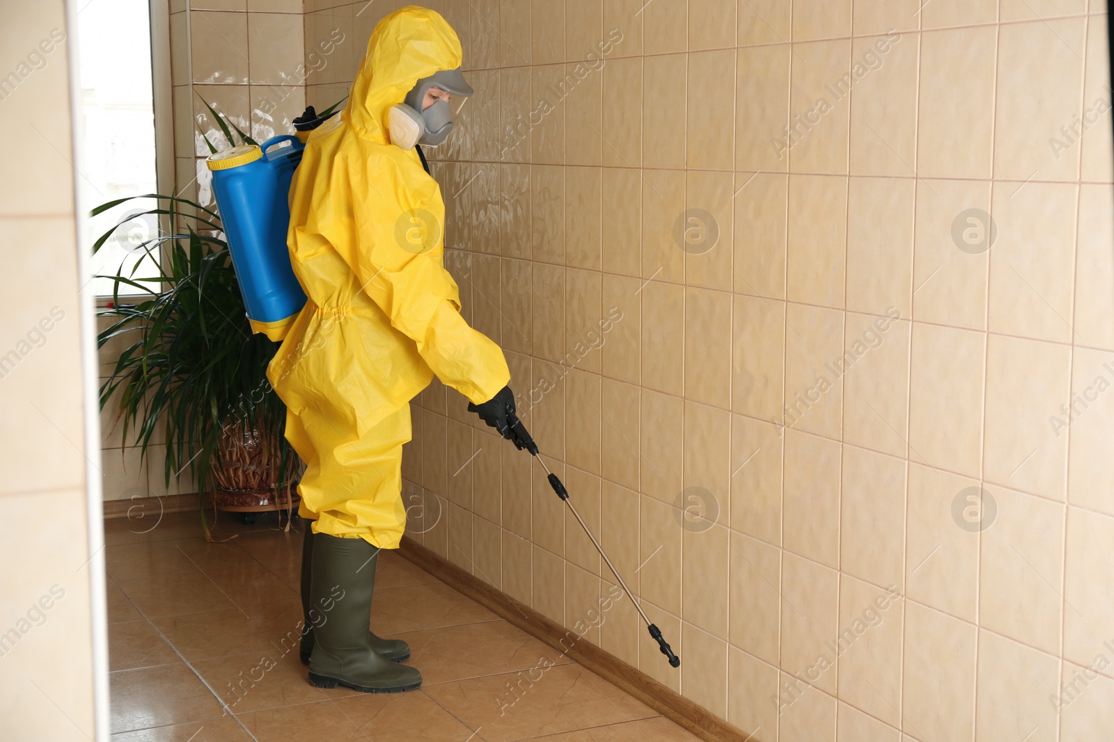 Photo of Pest control worker spraying pesticide indoors. Space for text