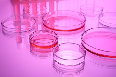Petri dishes with liquid on table, toned in pink