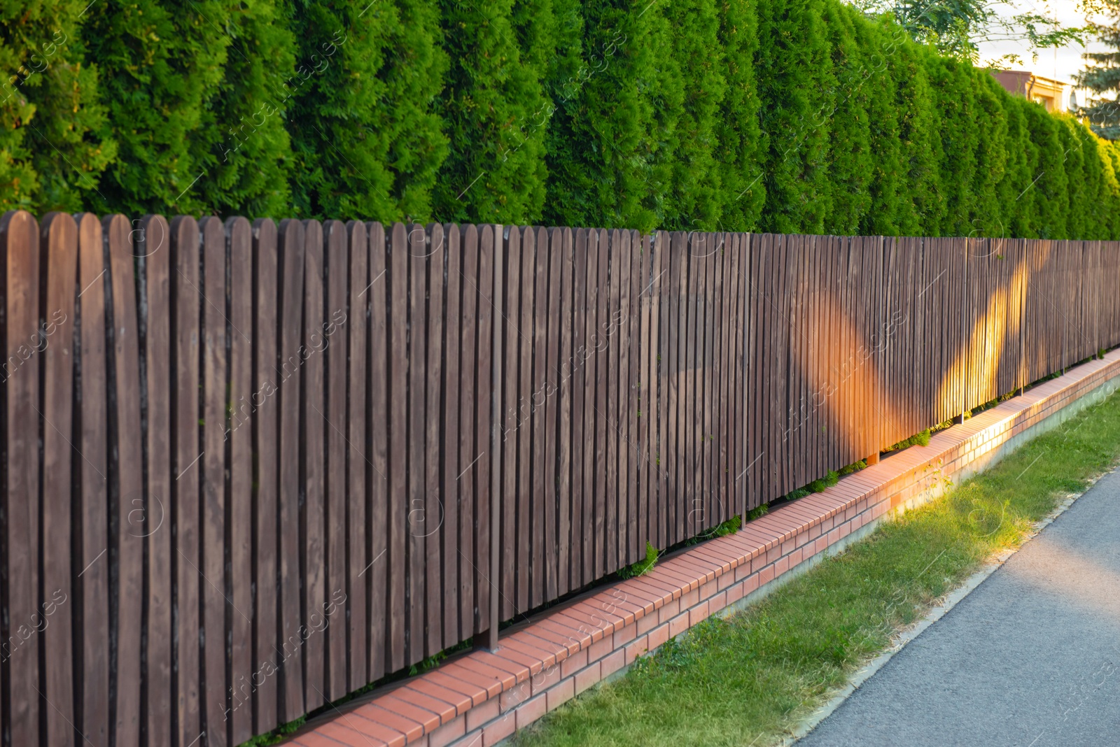 Photo of Green trees behind beautiful wooden fence outdoors