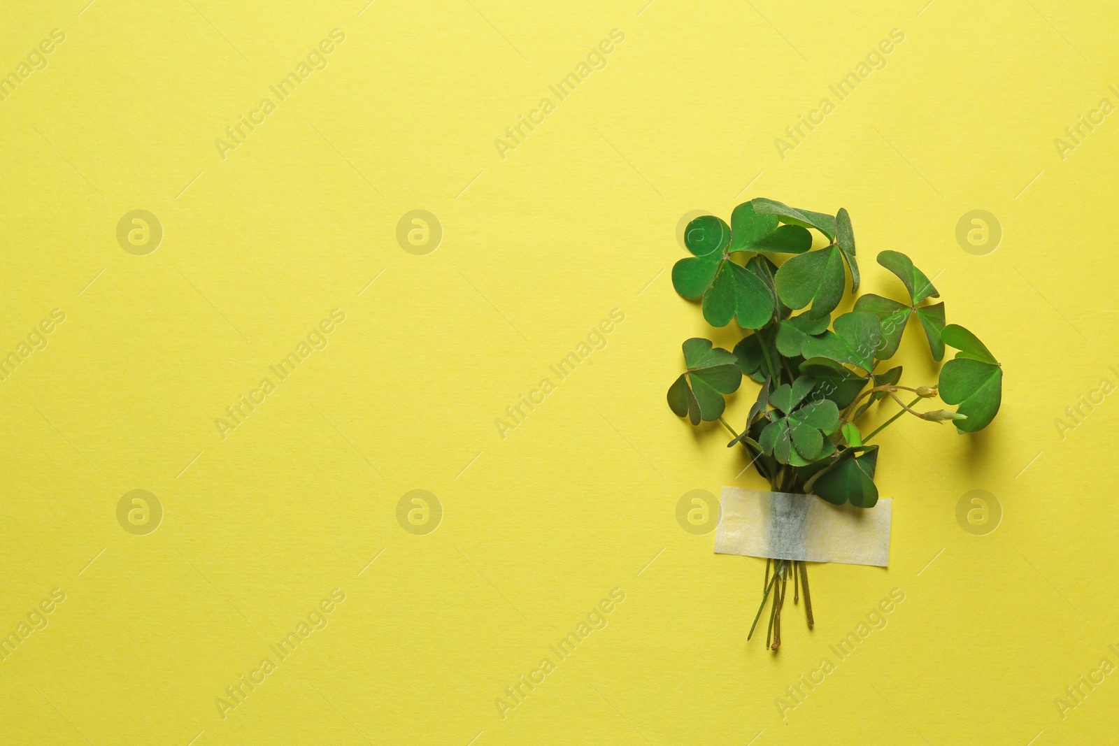 Photo of Bunch of green clover with tape on yellow background. Space for text