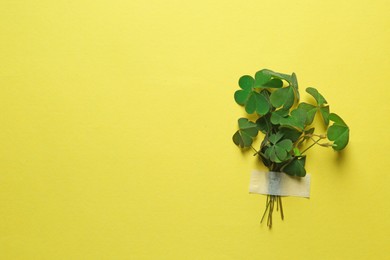 Photo of Bunch of green clover with tape on yellow background. Space for text