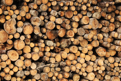 Photo of Stacked firewood as background. Heating house in winter