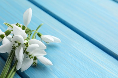 Beautiful snowdrops on light blue wooden table, closeup. Space for text