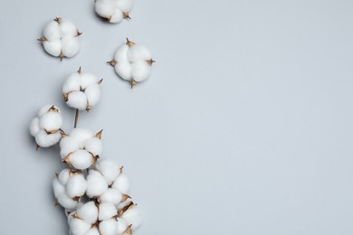 Beautiful cotton flowers on light grey background, flat lay. Space for text