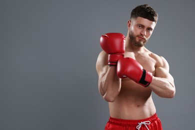 Man putting on boxing gloves against grey background. Space for text