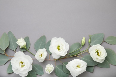 Photo of Eucalyptus branches with fresh green leaves and flowers on gray background. Flat lay composition with space for design