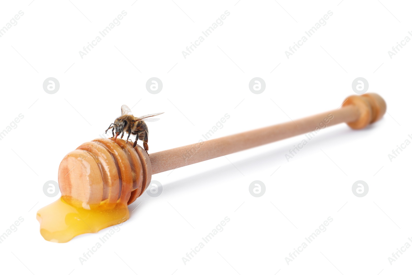 Photo of Wooden dipper with honey and bee on white background