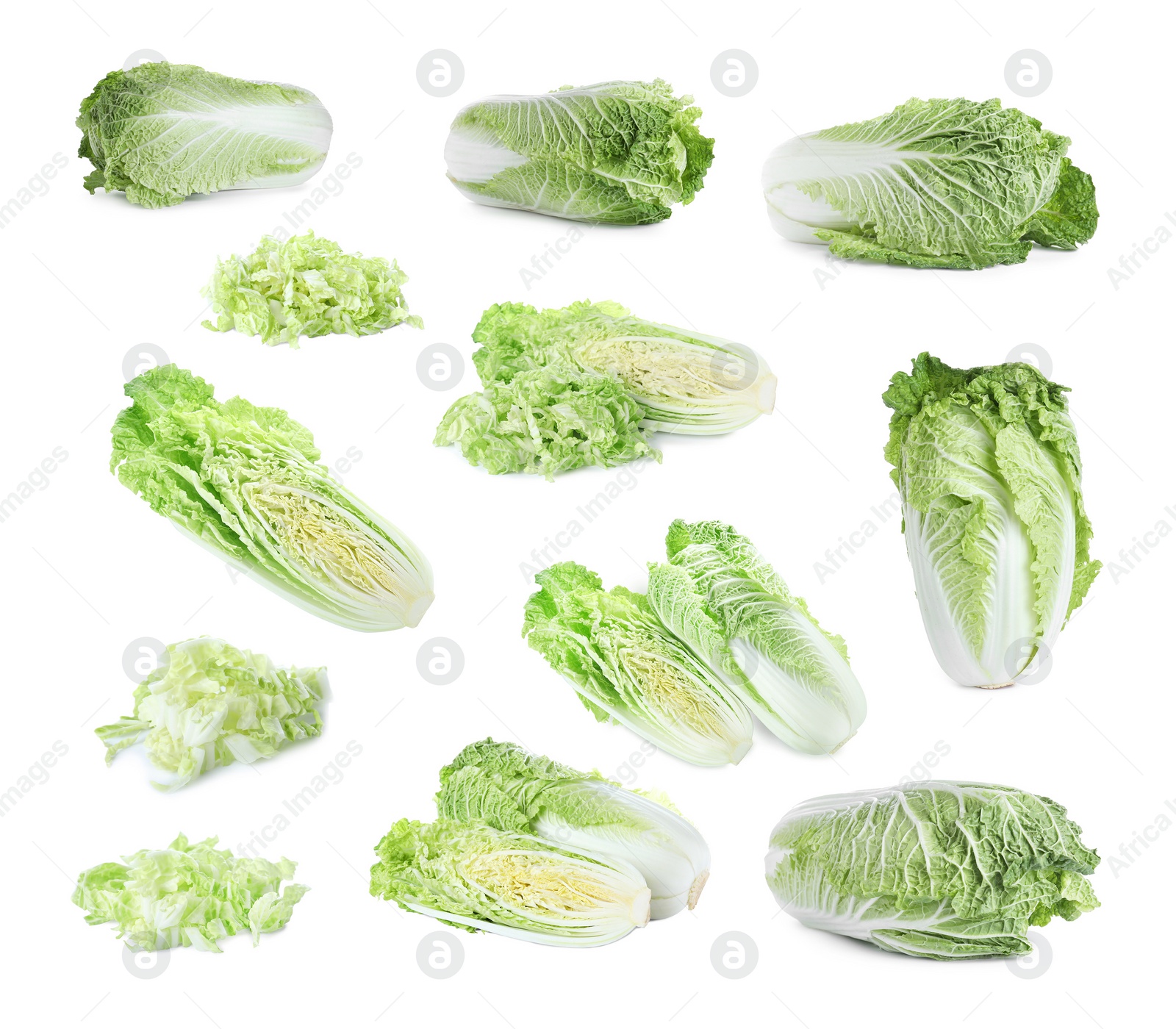 Image of Set of fresh ripe Chinese cabbages on white background