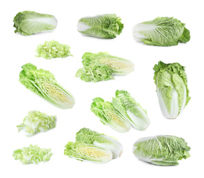 Image of Set of fresh ripe Chinese cabbages on white background