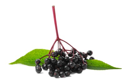 Photo of Delicious ripe black elderberries with green leaves isolated on white