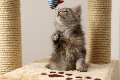 Photo of Cute fluffy kitten playing with toy mouse on cat tree against light background