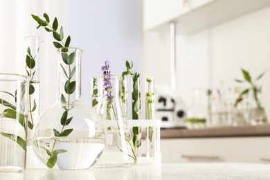 Photo of Laboratory glassware with different plants on table indoors