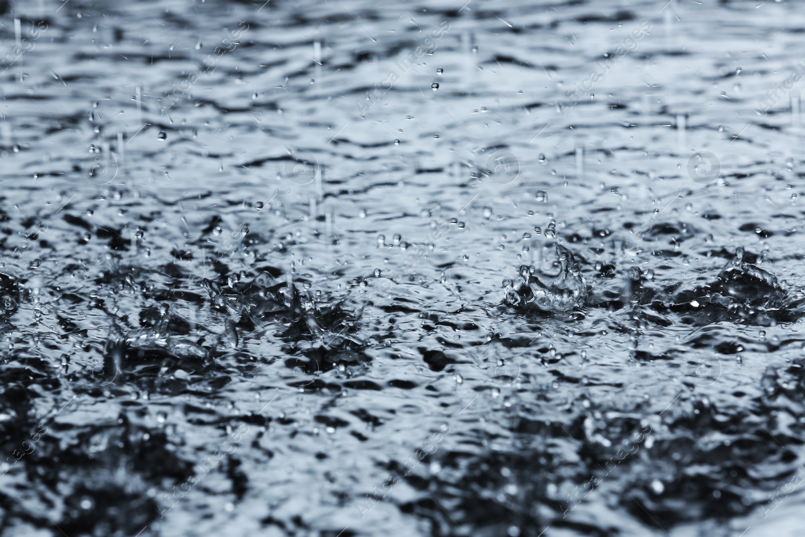 Photo of Heavy rain falling down into puddle outdoors