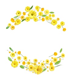 Wreaths made of beautiful flowers on white background