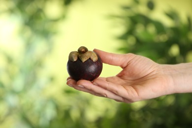 Photo of Woman holding delicious ripe mangosteen fruit outdoors, closeup
