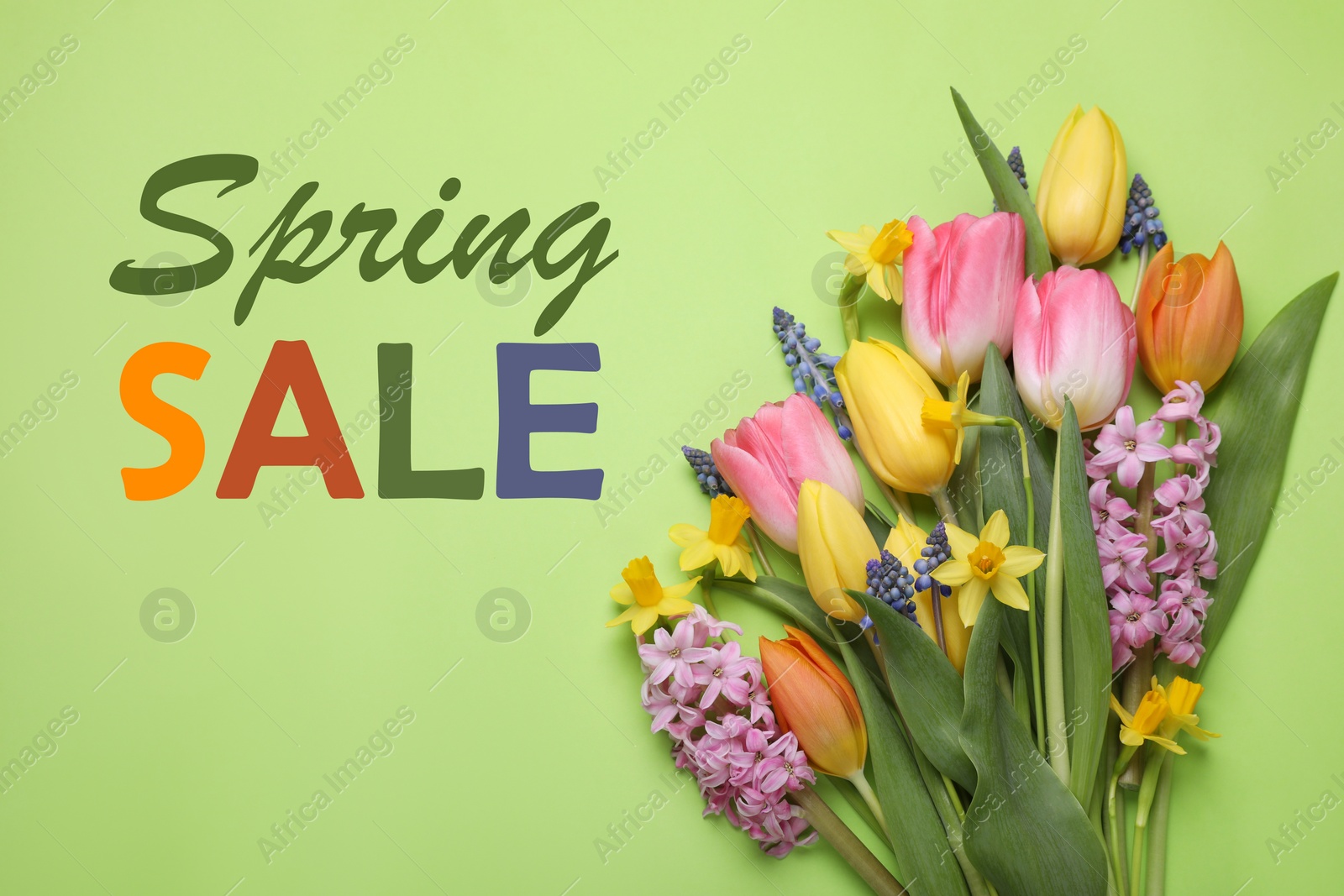 Image of Spring sale flyer design with text and beautiful flowers on green background, flat lay