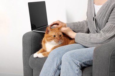 Photo of Woman with cat working in armchair at home, closeup