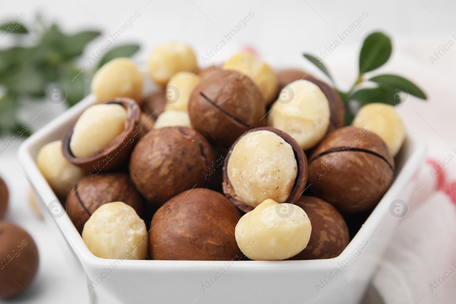 Photo of Tasty Macadamia nuts in bowl, closeup view