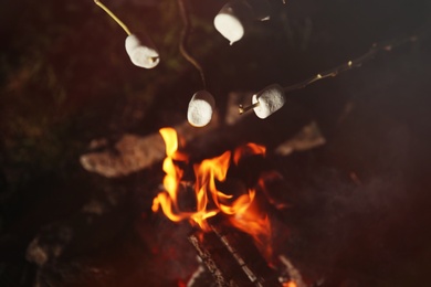 Photo of Frying marshmallows on bonfire at night, closeup. Camping season