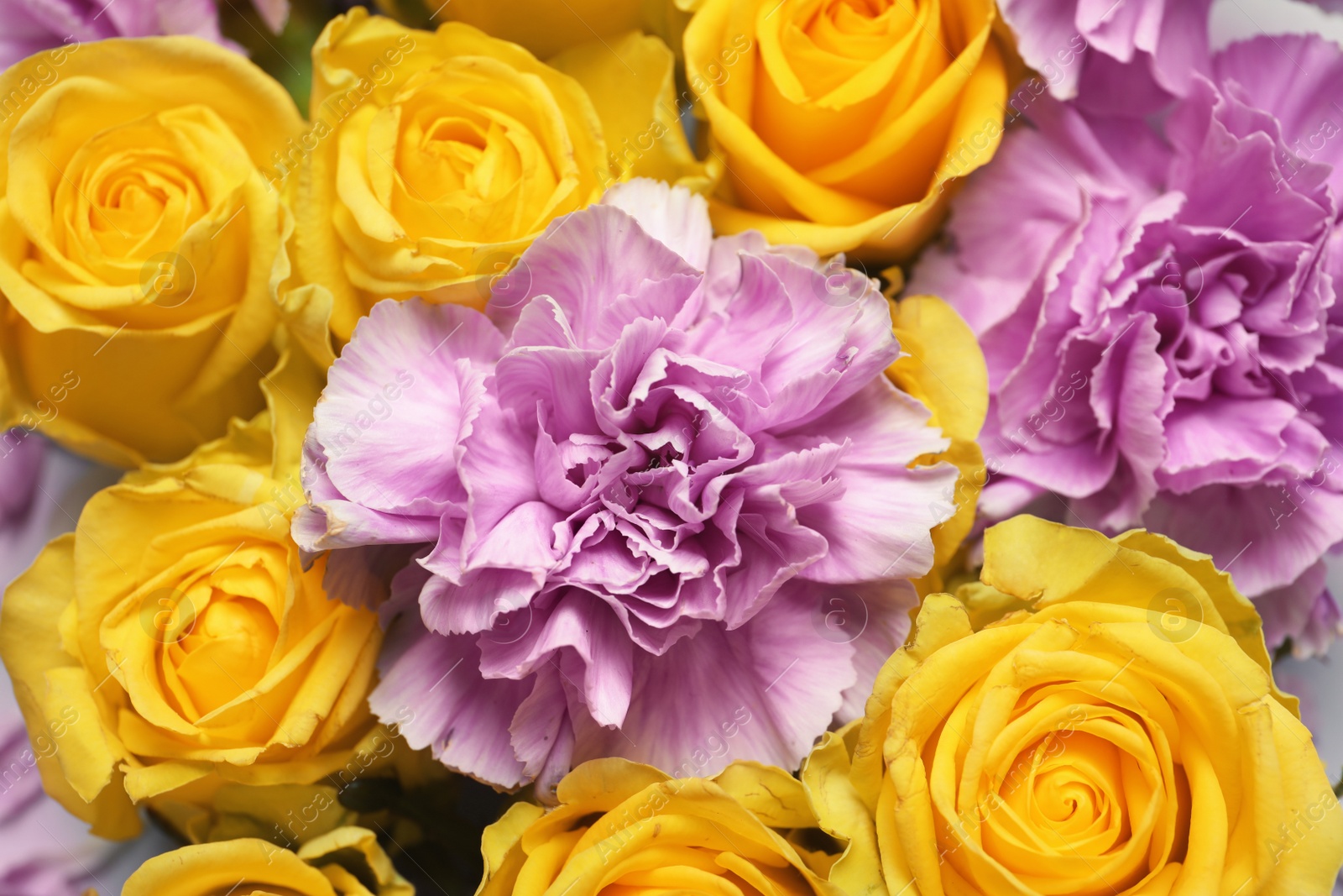 Photo of Beautiful blooming flowers as background, top view