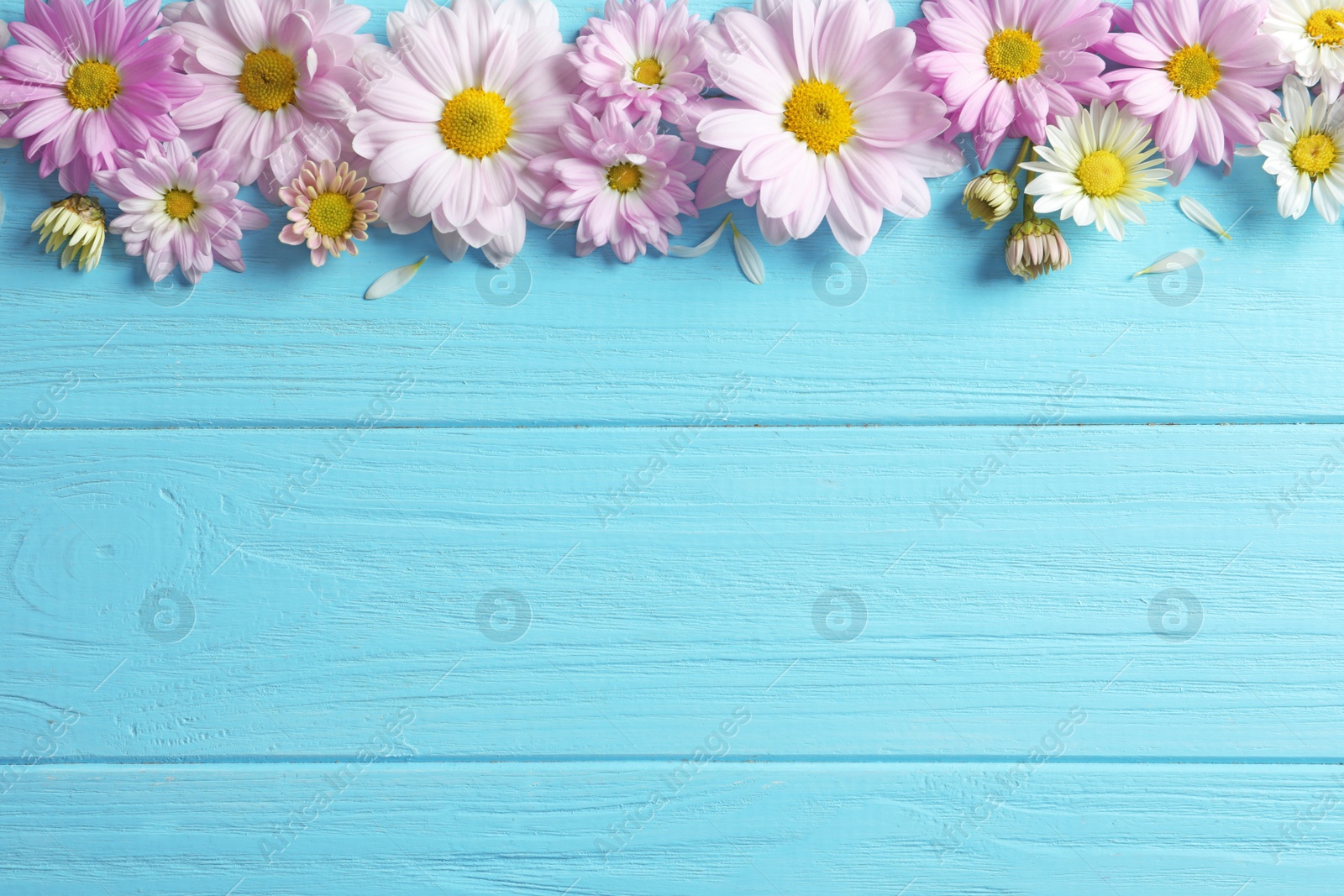 Photo of Beautiful chamomile flowers on wooden background, flat lay with space for text