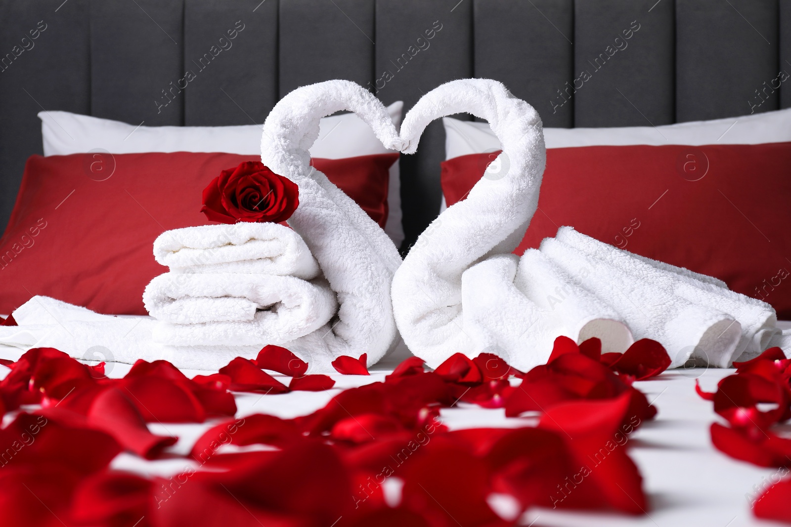 Photo of Honeymoon. Swans made with towels and beautiful rose petals on bed