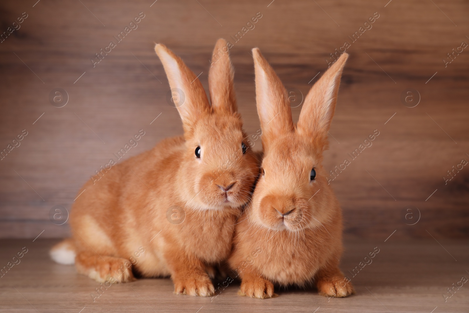 Photo of Cute bunnies on table against wooden background. Easter symbol