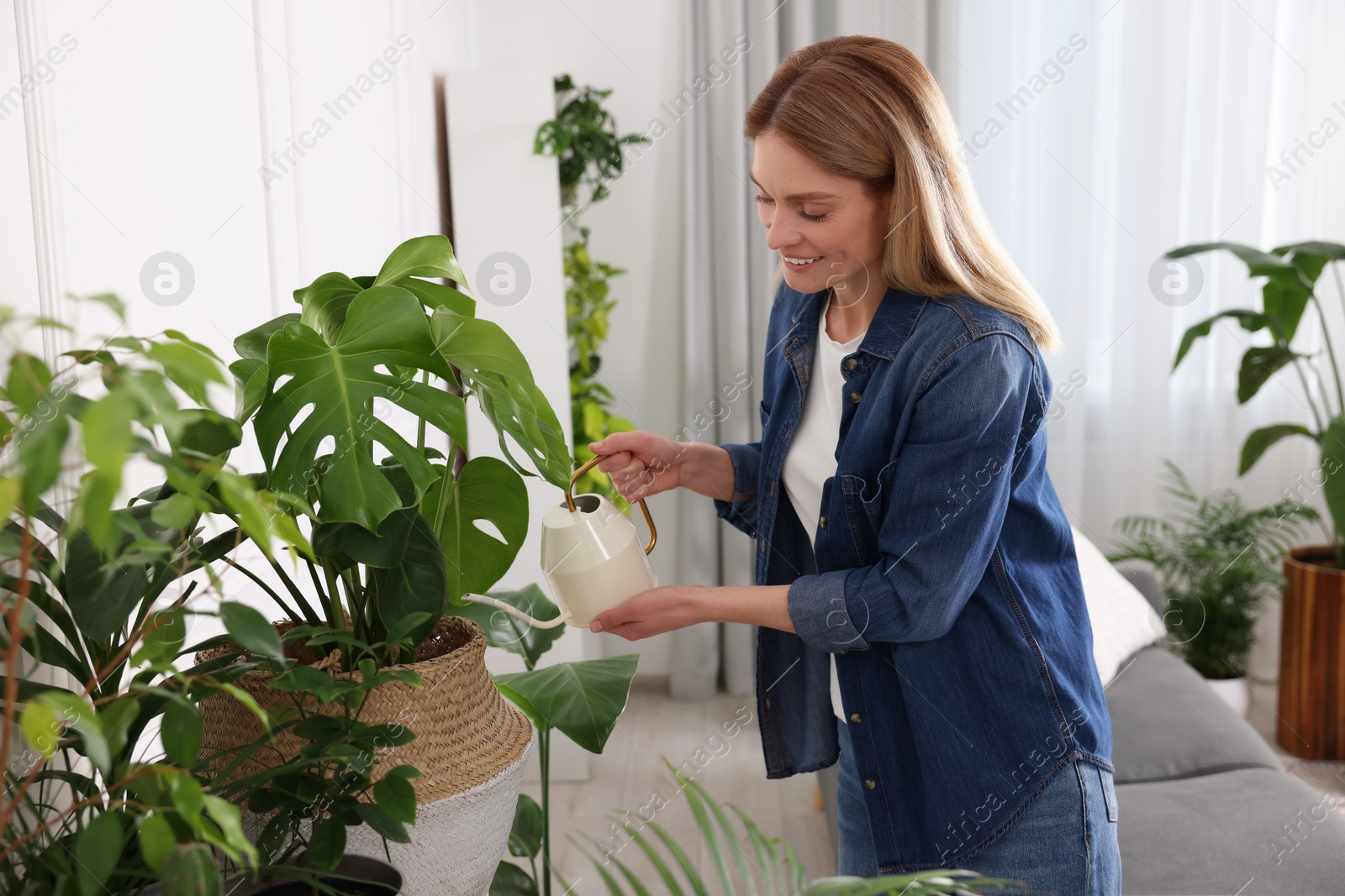 Photo of Woman watering beautiful potted houseplants at home