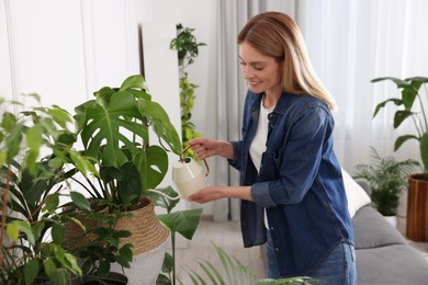 Woman watering beautiful potted houseplants at home