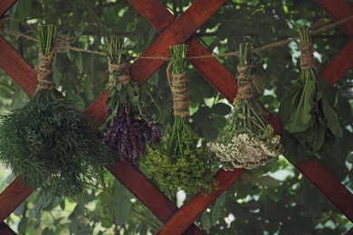 Photo of Bunches of different beautiful dried flowers hanging on rope
